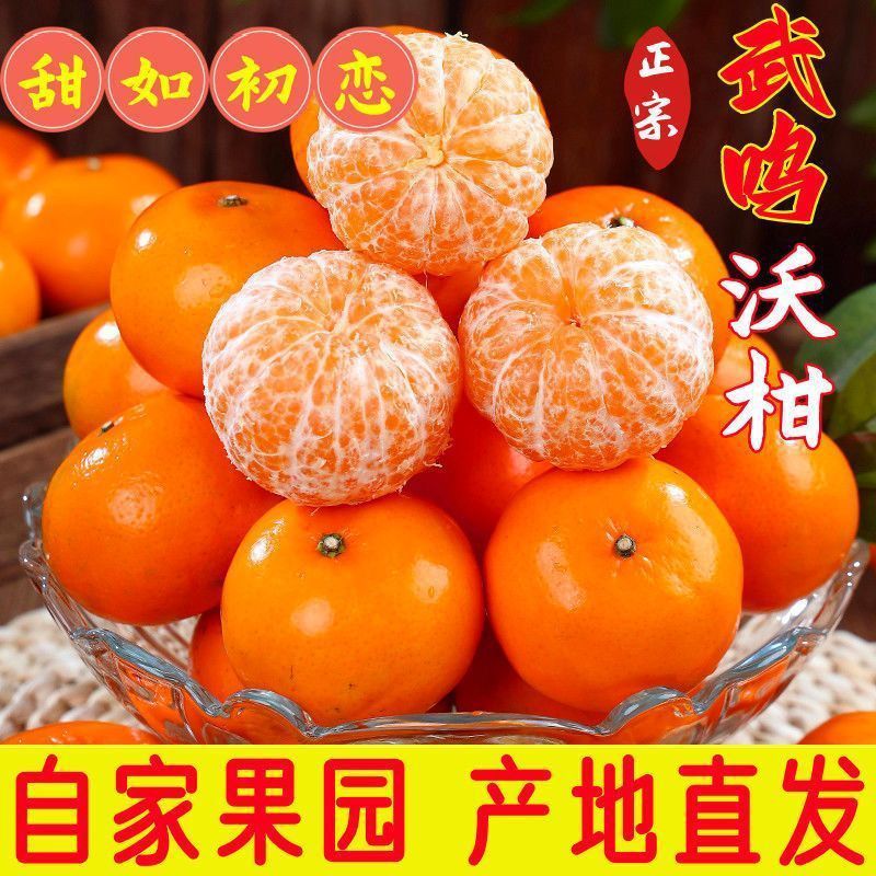 【3天内热销4120件】广西武鸣沃柑应季新鲜水果薄皮正宗桔子柑橘