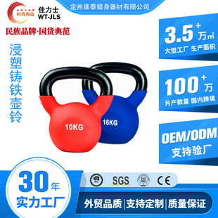 Wt-Jls Plastic-Coated Kettlebell Unisex Cast Iron Exercise Fitness Equipment Solid Cast Iron Kettlebell
