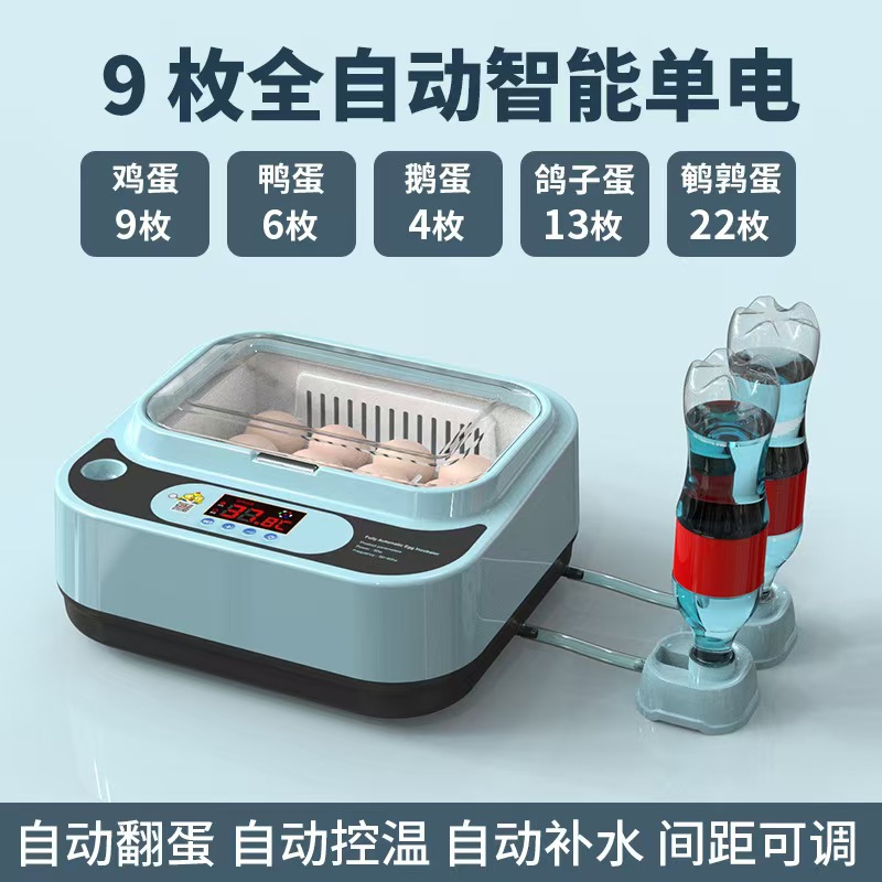 Incubadora de pollo de venta directa Incubadora doméstica pequeña Incubadora doméstica inteligente automática Caja de incubación de pollo
