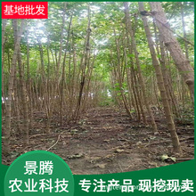 ��Ǘ� Ԫ���� ����ֱ�N  �׏�3��������   Ԫ���� ��Ǘ�