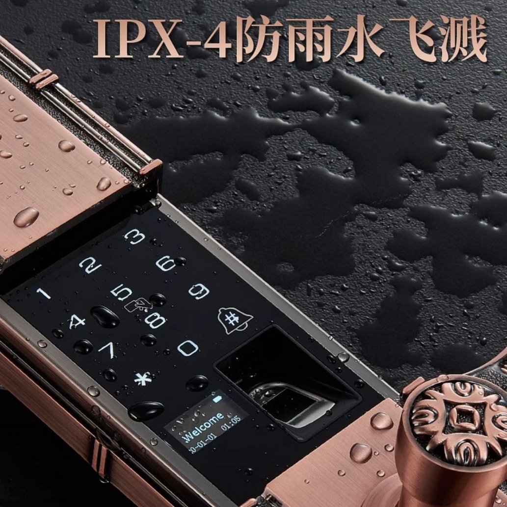 Puerta de la villa de doble puerta cerradura de huellas digitales cerradura de contraseña cerradura electrónica cerradura europea puerta de cobre cerradura inteligente