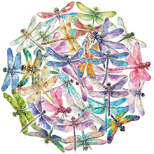 30�����R�d���u�D��������pet�N��25���¿���X����ˮ���b��N��