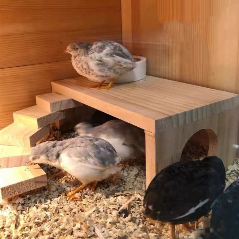 ルチンチキン給餌プラットフォームアクセサリー装飾ハムスター用品フルセット二階建てプラットフォーム棚ペットボックスヴィラ造園|undefined