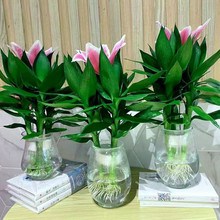 �^����ˮ��Gֲ���F��ˮ�B�����҃��������՚����B���С