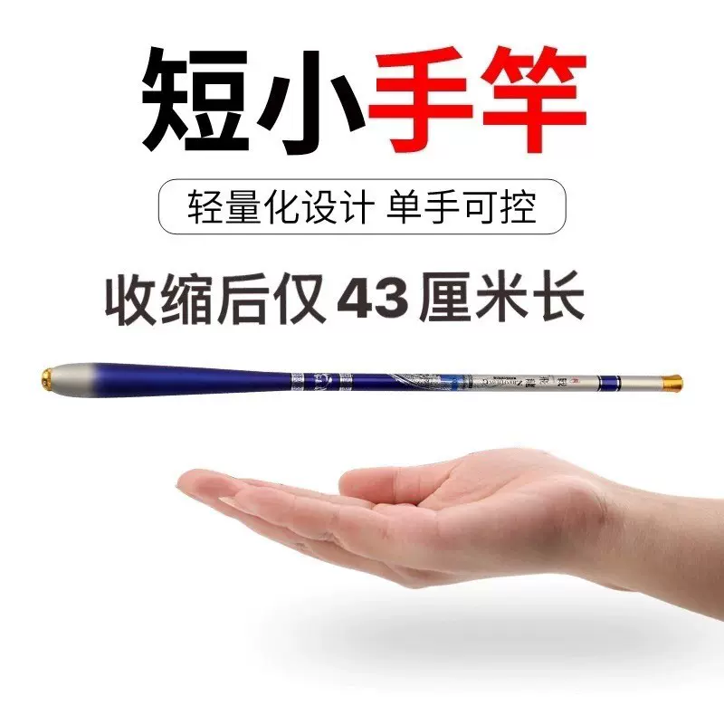 厂家直销袖珍战飞龙43公分28调19调短节鱼竿便携迷你碳素手杆外贸