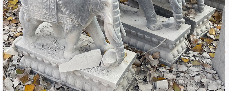 be0440fde93ecb35ce6f6ca278a073