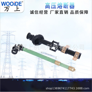 PRNT13-15.5KV 63A US transformer oil-immersed high-voltage fuse can be equipped with fuse core