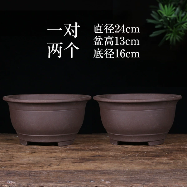 [浅蓝色 富贵光板24cm+24♢]