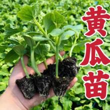 �S������ˮ���S�����̨�����S�����ļ�����޽Ӵ�С������������