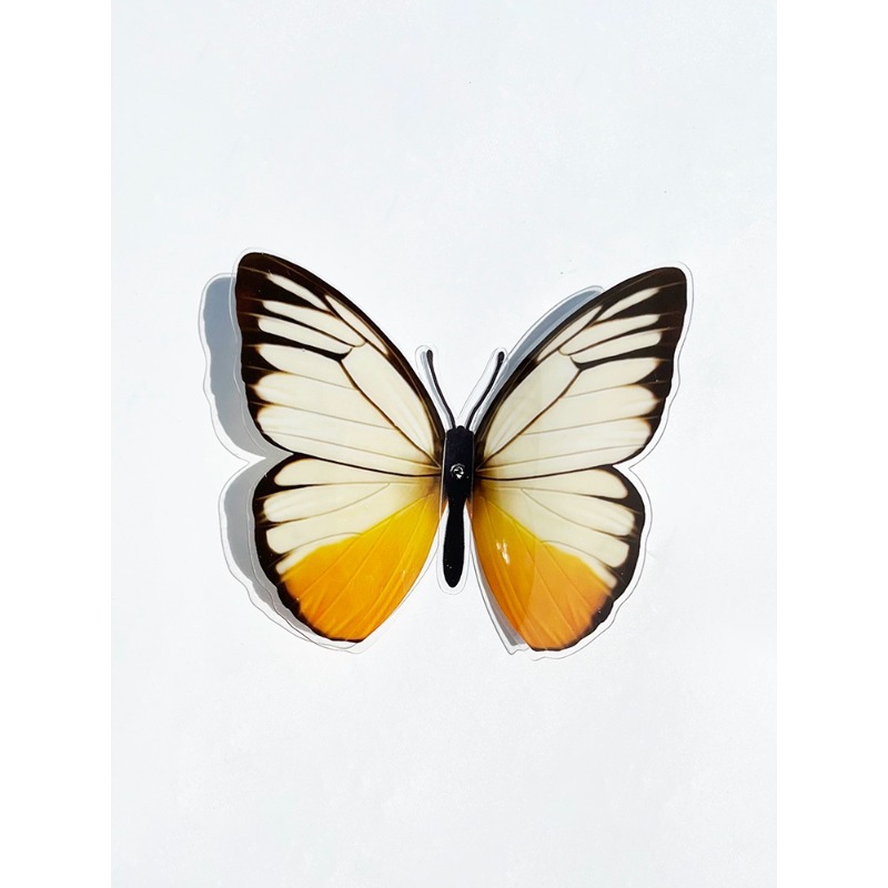 Mariposas Simuladas de PVC, Ramo de Mariposas Coloridas en 3D, Decoración, Accesorios Hechos a Mano, Materiales de Embalaje para Flores