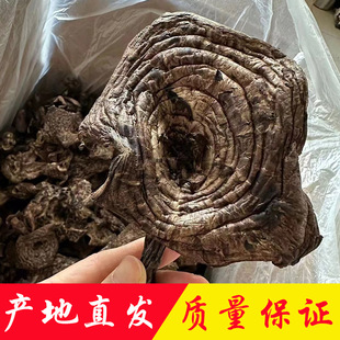 �ڻ��ƾ��a��ֱ�N���l���Ұ�������Ӿ����r���ʳ�þ���؛