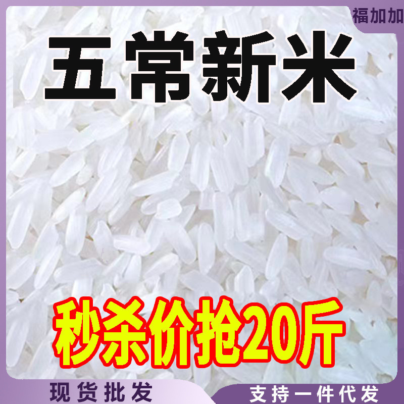 五常大米10斤20农家厂家直销批发|undefined