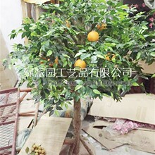 �������Ә�����[������Ҙ�֦�ش�ˮ���������Ҽٻ��b廨