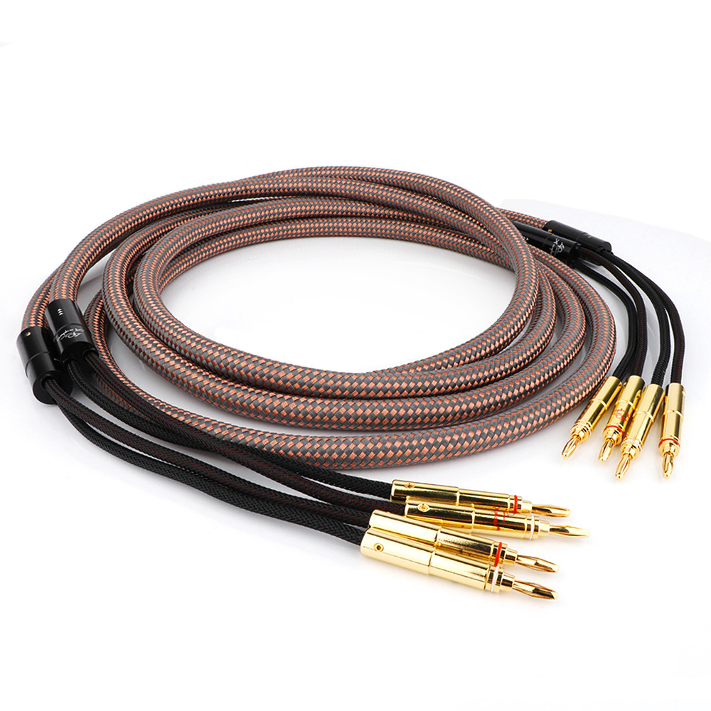 Golden Throat 40th Anniversary Edition Fever Class Horn Line hifi Audio Line Professional Speaker CD Power Amplifier Cable