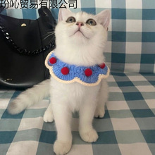 ؈���Ȧë��ᘿ��ɐۇ��������{؈Ӣ�̲�ż̩�Ͽɐ۲����Ʒ����