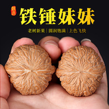 文玩核桃 精品铁锤妹妹 手工打底 50年树木果山地老树果品相周正