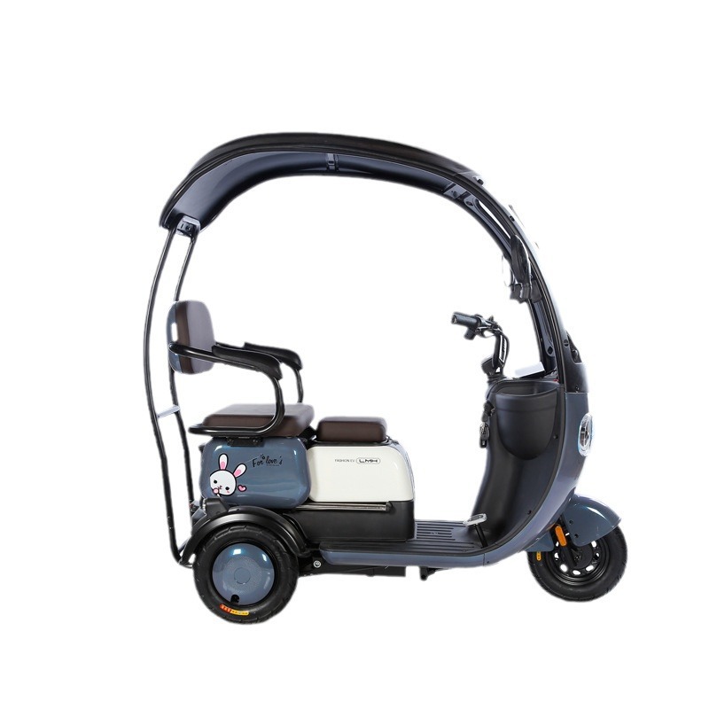 Triciclo eléctrico, scooter pequeño, coche doble para personas mayores, tranvía familiar, coche eléctrico de batería para niños