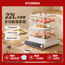 HYUNDAI偶๦ܼ22ɯBAs