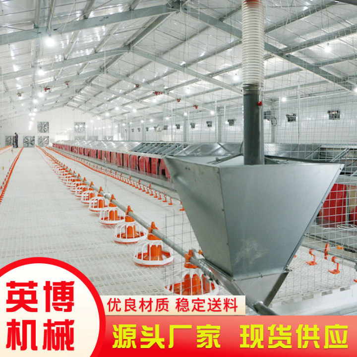 邦驰供应养鸡设备 肉鸡盘式料线 肉鸡自动料线 方管水线