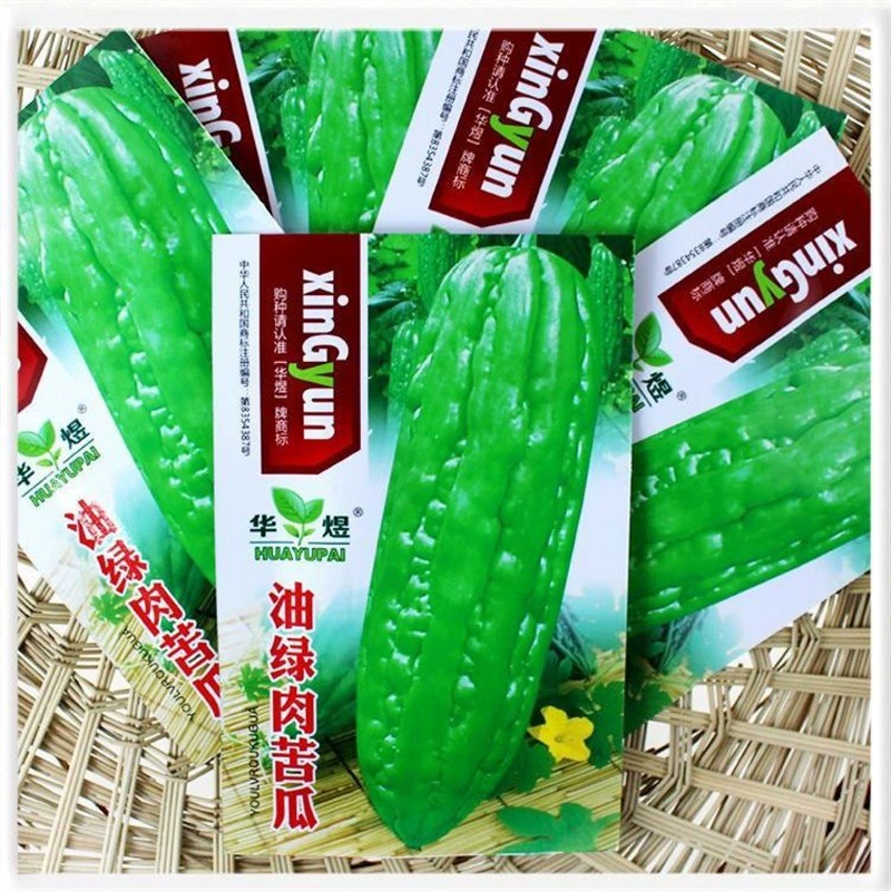 Горькие Семена Дыни Ранняя Зрелость Теплостойкость Холодное Сопротивление Хорошая Урожайность Хорошие Семена