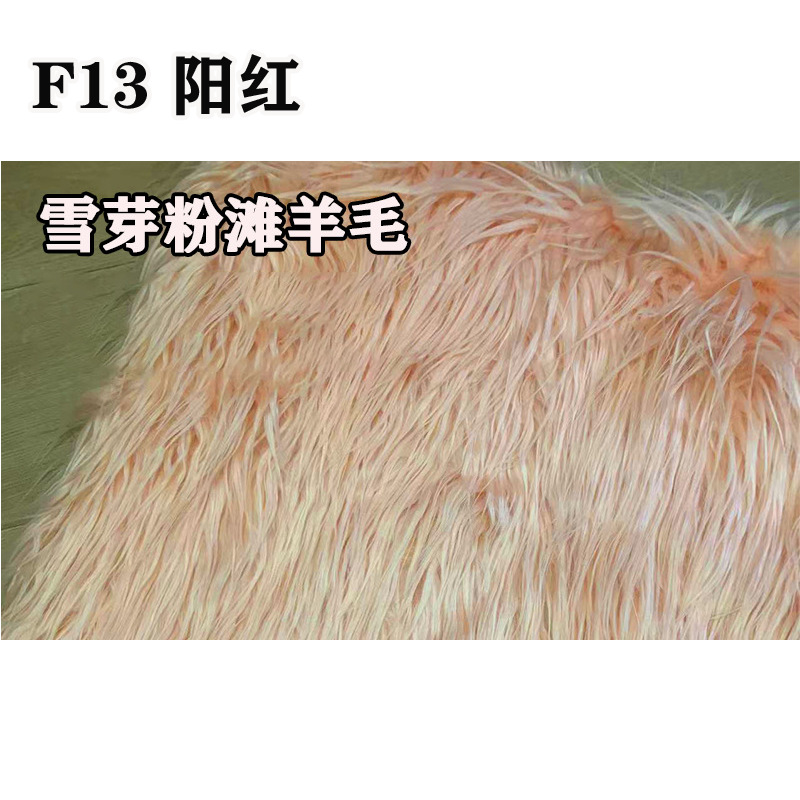 F13 양홍