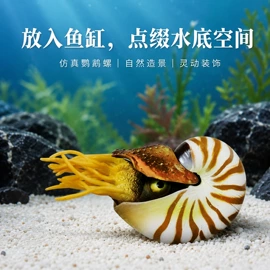 造景/装饰;其它水族用品;水族箱
