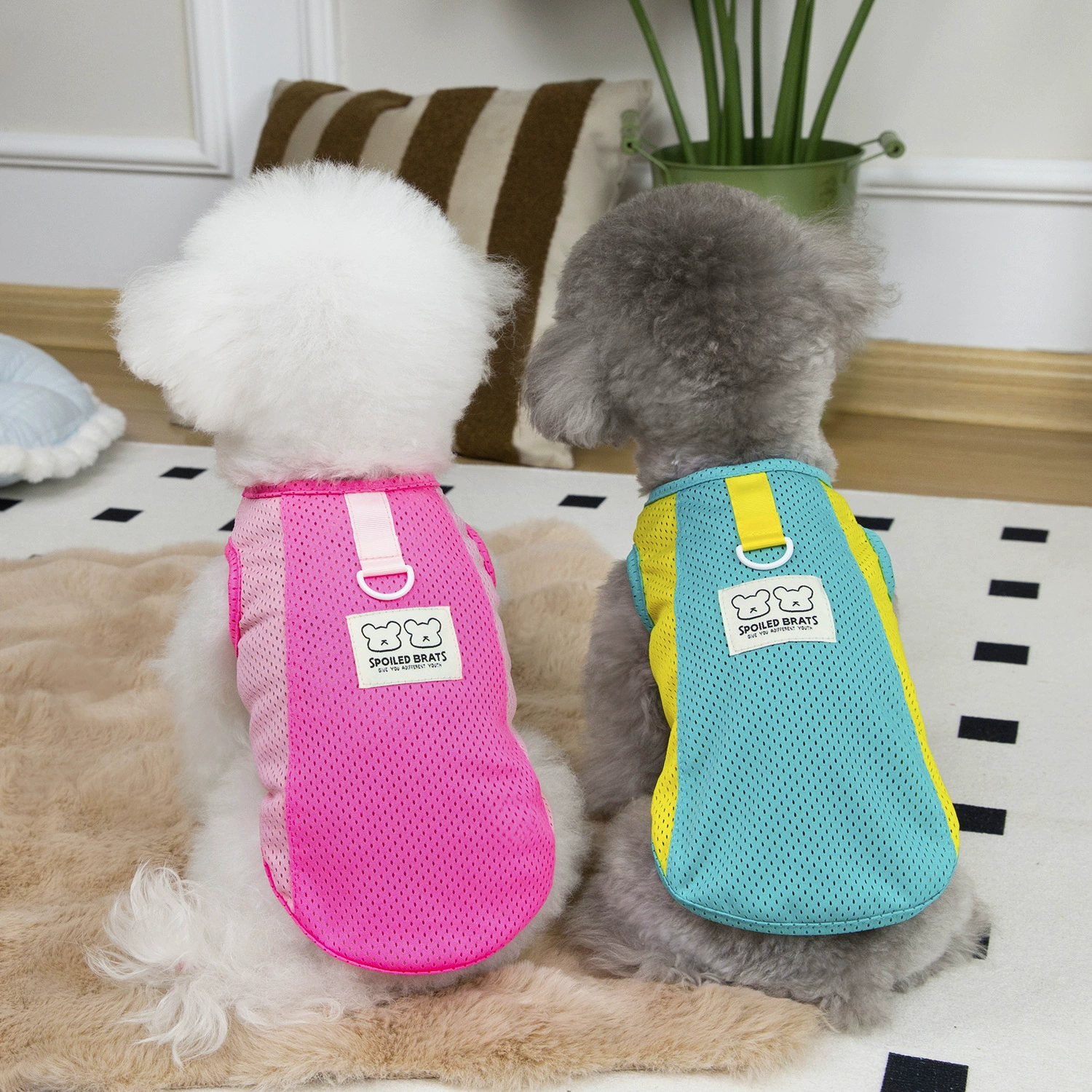 25 сетчатый жилет летняя домашняя одежда кошачья одежда