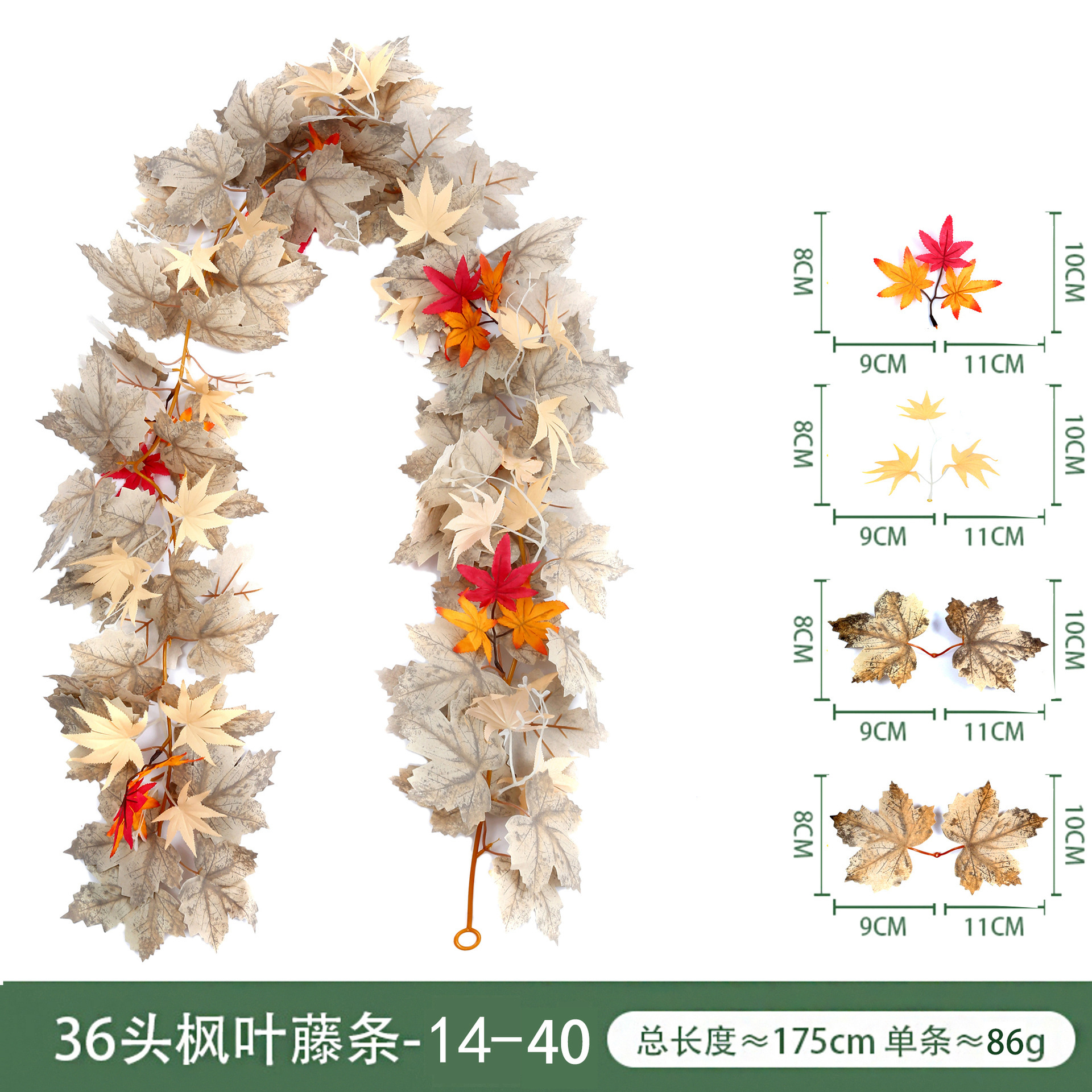Maple leaf, 36, 40