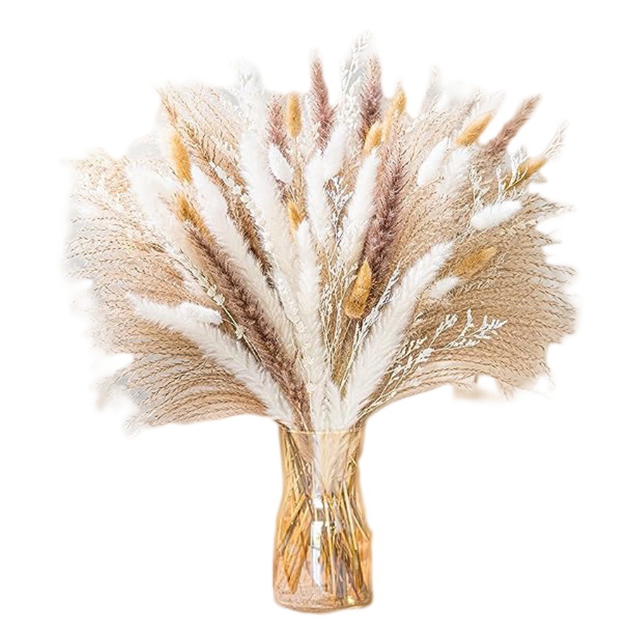 Ramo de caña de flores secas de Amazon, batidor de hierba de cola de conejo, ramo de flores secas de Yunnan, decoración de muebles al por mayor