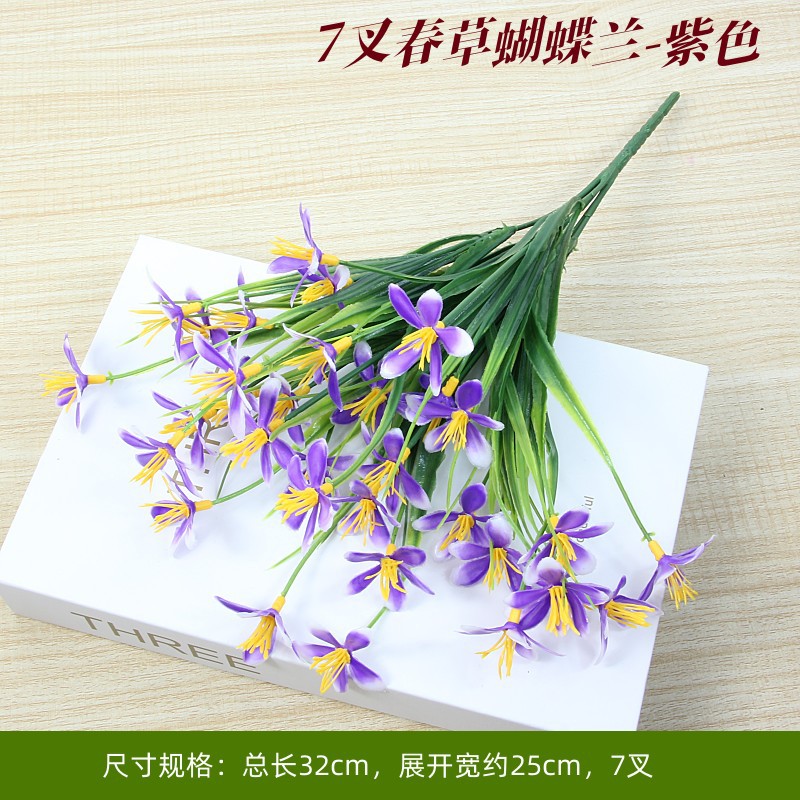 Spring grass Phalaenopsis purple