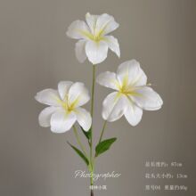 ?��ɫϵ������װ�μٻ��ڼ��ɻ���õ�廨��·���廨ǽ��