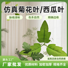 ����ջ��~�}���~�����~DIY�ٗl�Gֲ���@�ֻ�c�����b�����~