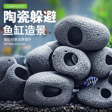 �羳����쾰�ڼ�С��Ϻ�ڹ������������ķ�ֳ���չ�װ�δ�����