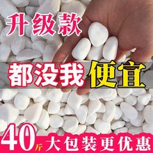 120斤小白石子鹅卵石原石天然多肉铺面石园艺庭院造景花盆白石头