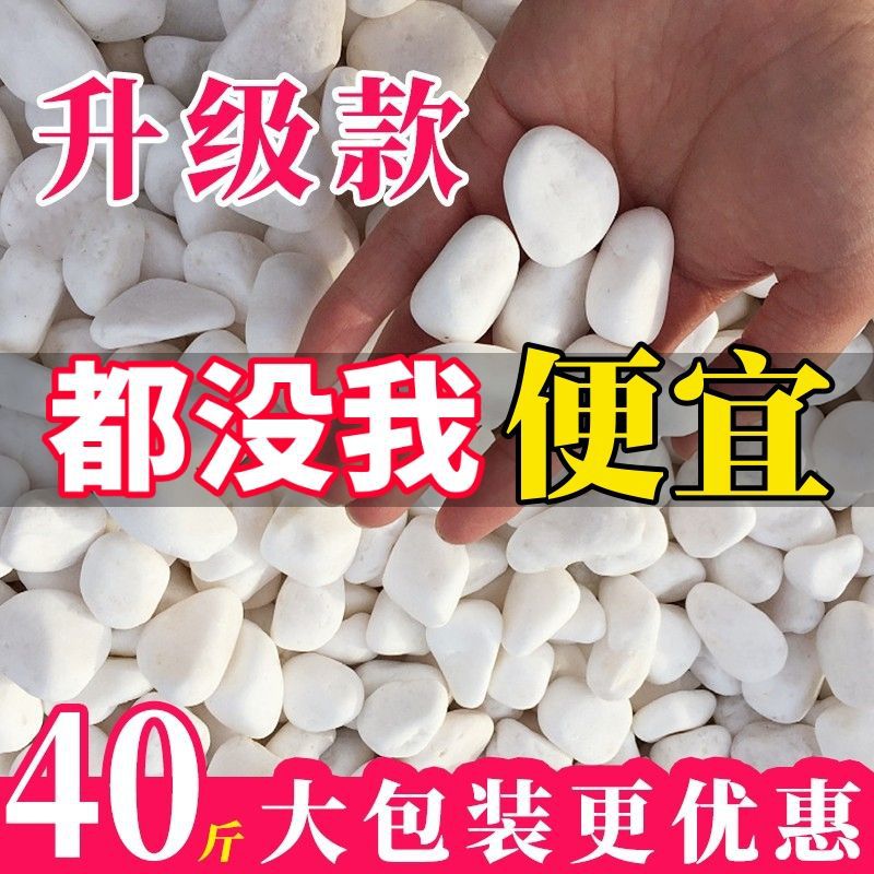 120斤小白石子鹅卵石原石天然多肉铺面石园艺庭院造景花盆白石头