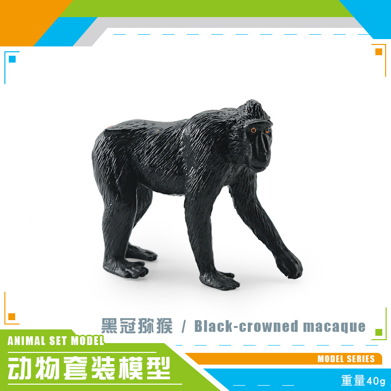 Transfronterizo simulación bosque animal africano blanco León negro corona Macaco hurón Manchuria jabalí Koala Python modelo juguete
