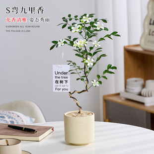 �����������ļ����B���҃�����Gֲ��Ʒ������w�������܃����՚�