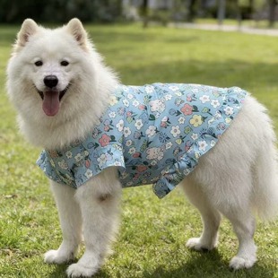 ���ı������±���ȹ���m͸��������������ë����Ȯ����ë