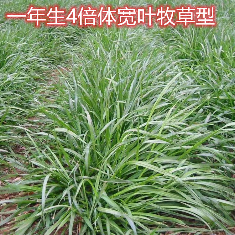3_副本