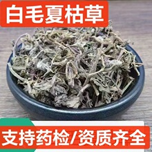 中药材筋骨草 白毛夏枯草 散血草 散血丹 破血丹 苦草干 支持药检