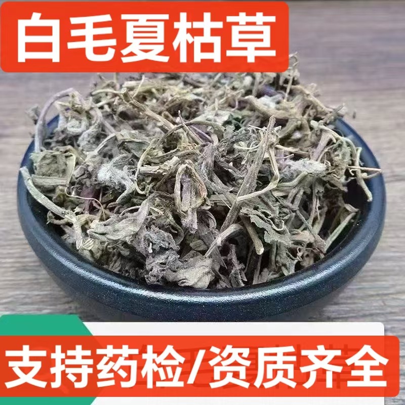 中药材筋骨草 白毛夏枯草 散血草 散血丹 破血丹 苦草干 支持药检