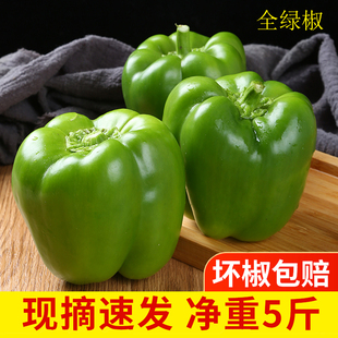 ֻ�l�ཷ5�� ��ʽ����r�A�����ӽ��t���G���߲ʽ��ʽ����\����