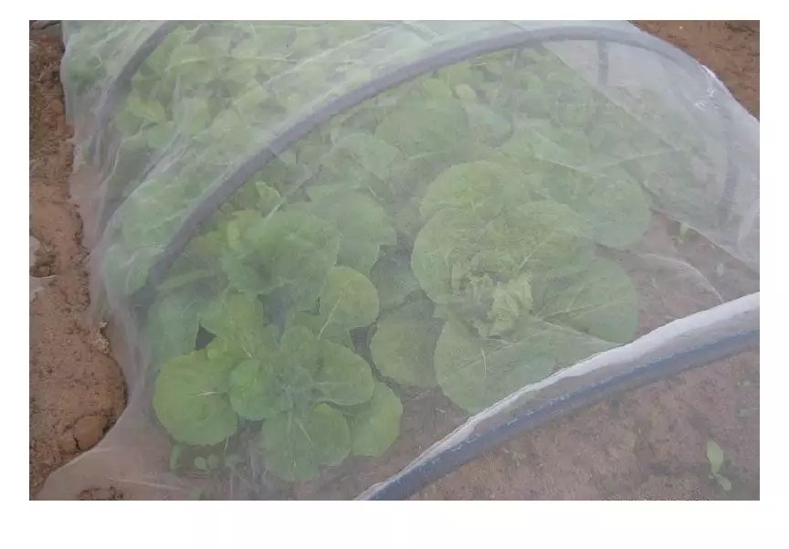 4d083def7bc47ce7457a43602af404