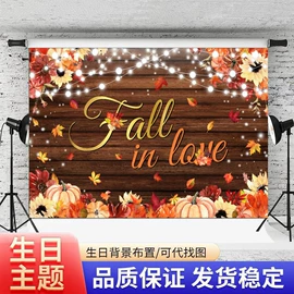 摄影摄像背景;挂毯/壁毯