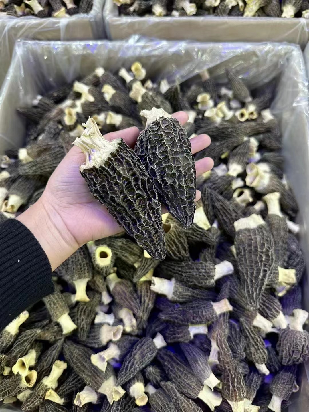 微信图片_20230224043810