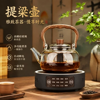 提梁壶泡茶壶玻璃煮茶器电陶炉蒸煮养生壶秋冬家用办公室高颜值