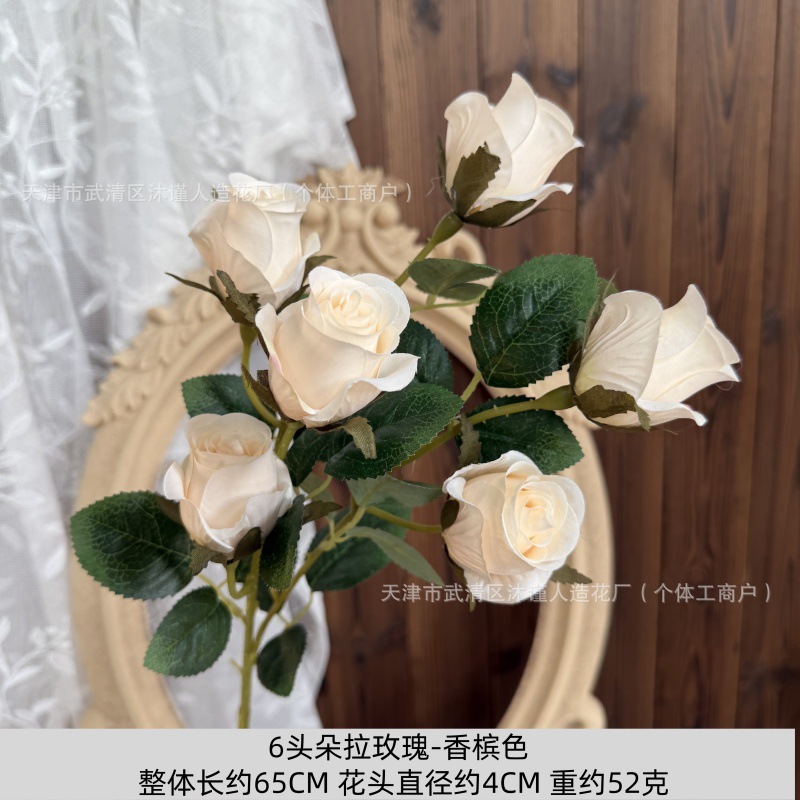 샴페인