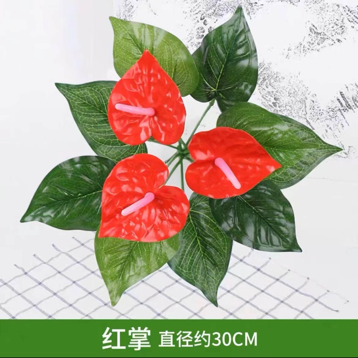 Anthurium