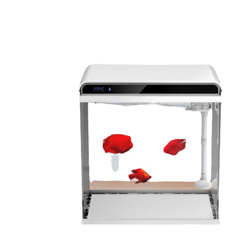 Gallery 4