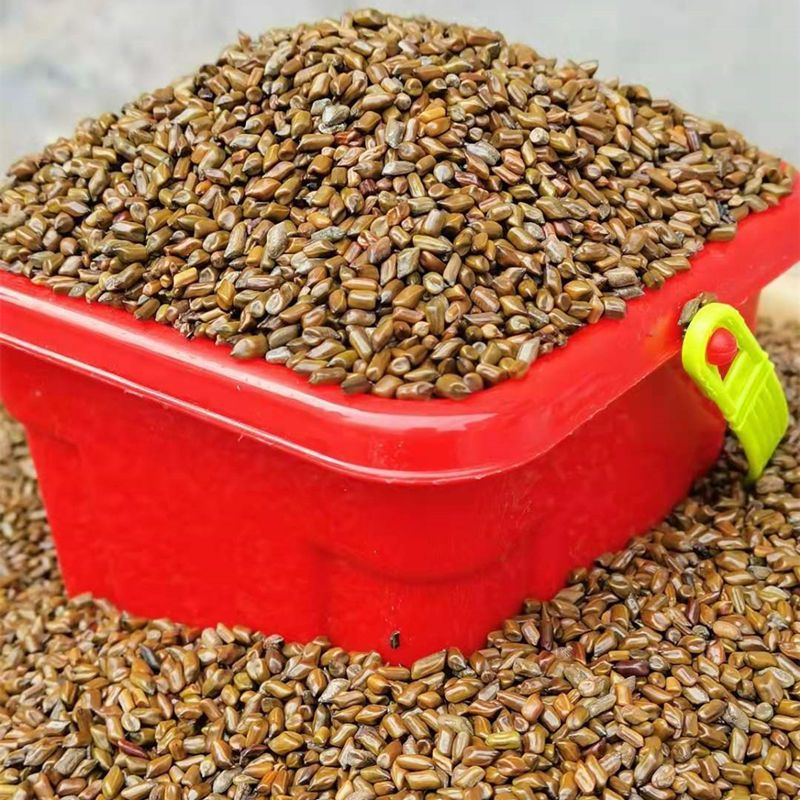 Wild Cassia Sand Wholesale Juguetes de interior para niños Juego de piscina de arena Patio de juegos Puesto Cassia Sand Beauty Journey